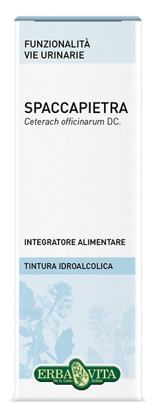 SPACCAPIETRA TINTURA IDROALCOLICA 50 ML EBV - Doctor Vinz