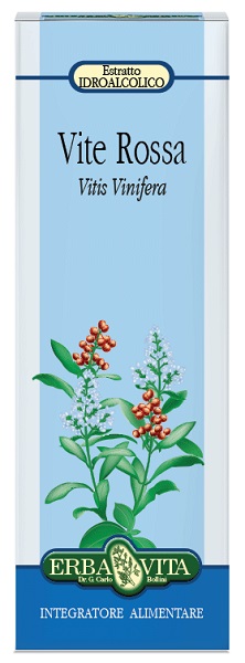 VITE ROSSA FOGLIE TINTURA IDROALCOLICA 50 ML EBV - Doctor Vinz