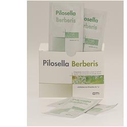 PILOSELLA-BERBERIS 30 BUSTINE - Doctor Vinz