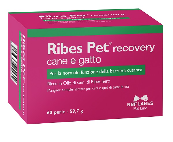 RIBES PET RECOVERY BLISTER 60 PERLE - Doctor Vinz
