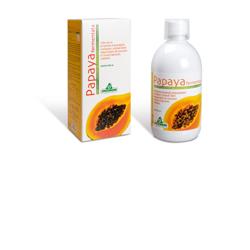 PAPAYA FERMENTATA 500 ML - Doctor Vinz