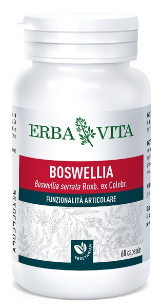 BOSWELLIA SERRATA 60 CAPSULE 400 MG - Doctor Vinz