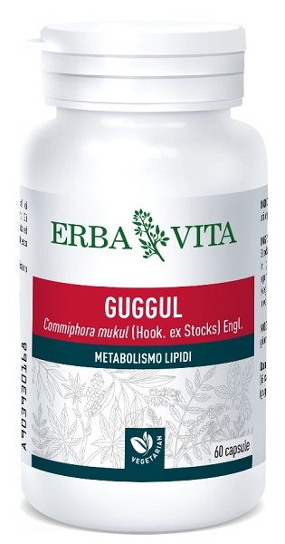 GUGGUL EXTRA 60 CAPSULE 650 MG - Doctor Vinz