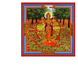 TRIPHAURUM GOCCE 30 ML - Doctor Vinz