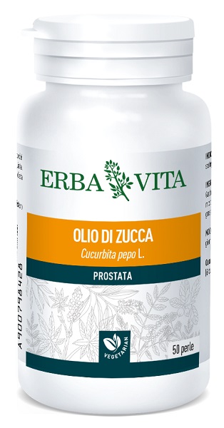 ZUCCA SEMI 50 PERLE - Doctor Vinz