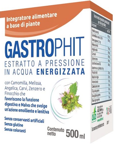 GASTROPHIT MACERATO 500 ML - Doctor Vinz