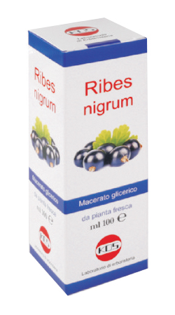 RIBES NIGRUM MG 100 ML GOCCE - Doctor Vinz