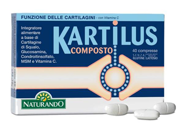 KARTILUS COMPOSTO 40 COMPRESSE - Doctor Vinz