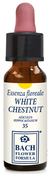 WHITE CHESTNUT ORIGINAL 10 ML - Doctor Vinz