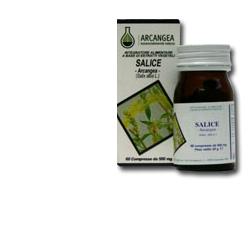 SALICE 60 CAPSULE 500 MG - Doctor Vinz