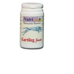 KARTILEG J 30TAV - Doctor Vinz