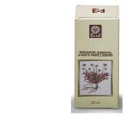 CIMICIFUGA GOCCE 50 ML - Doctor Vinz