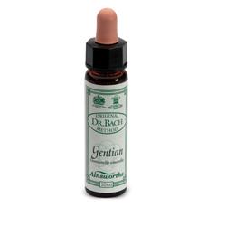 AINSWORTHS GENTIAN 10ML - Doctor Vinz