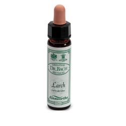 AINSWORTHS LARCH 10ML - Doctor Vinz
