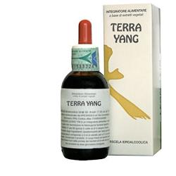TERRA YANG 50 ML - Doctor Vinz