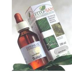 EQUISETO FRONDE STE TINTURA MADRE 100 ML - Doctor Vinz