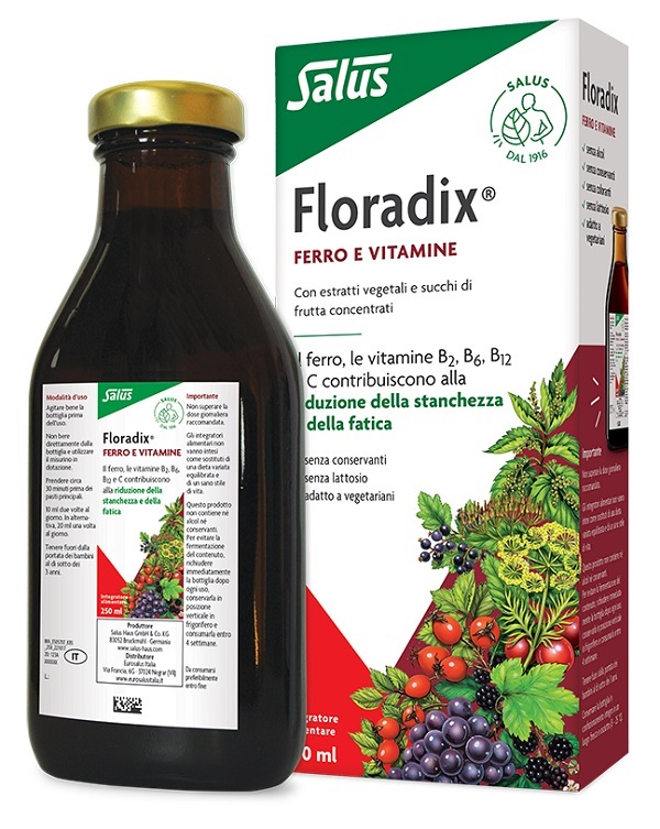 FLORADIX FERRO E VITAMINE 250 ML - Doctor Vinz