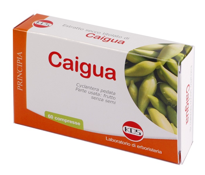 CAIGUA ESTRATTO SECCO 60 COMPRESSE - Doctor Vinz
