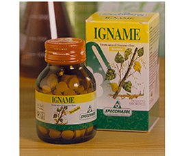 IGNAME ERBE 60TAV - Doctor Vinz