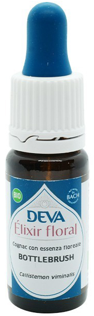 DEVA BOTTLEBRUSH 10 ML - Doctor Vinz