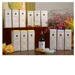 ZEF04 LIPO PLANT STV - Doctor Vinz