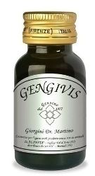 GENGIVIS 30ML - Doctor Vinz