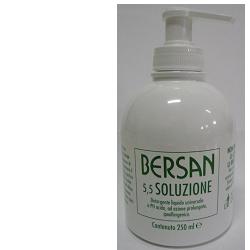 BERSAN DETERGENTE LIQUIDO PH5,5 250 ML - Doctor Vinz