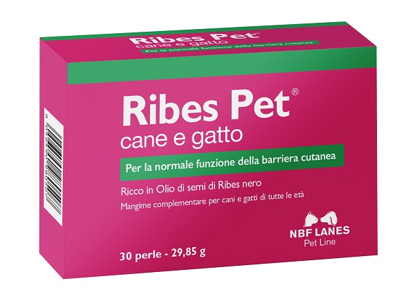 RIBES PET BLISTER 30 PERLE - Doctor Vinz
