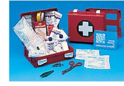 CASSETTA PRONTO SOCCORSO FAMILY PER CAMPEGGIO, BRICOLAGE, CASA E UFFICIO. CONTENITORE IN ABS ANTIURTO CON SUPPORTO PER IL FISSAGGIO ALLA PARETE - Doctor Vinz