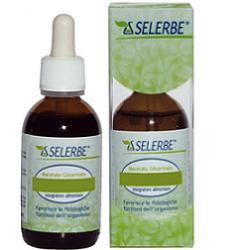 RIBES NIGRUM 50ML MACERATO GLICERICO - Doctor Vinz