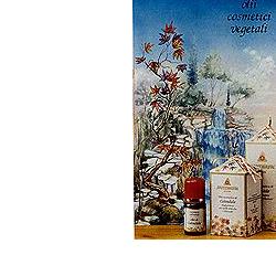 CALENDULA OLIO 100ML - Doctor Vinz