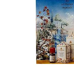 CAMOMILLA OLIO COSMETICO 100ML - Doctor Vinz