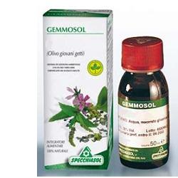 GEMMOSOL 36 RIBES NERO 50ML - Doctor Vinz