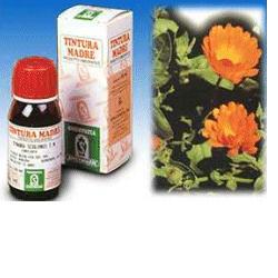 CALENDULA OFF 5 50ML TM - Doctor Vinz
