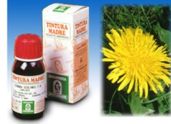 TARASSACO 28 50ML TM - Doctor Vinz