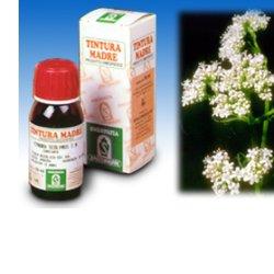 VALERIANA 36 TINTURA MADRE 50 ML - Doctor Vinz