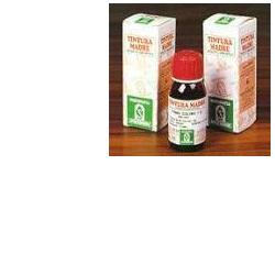 ELEUTEROCOCCO 60 50ML TM - Doctor Vinz