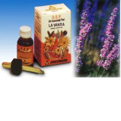LAVANDA OLIO ESSENZIALE PURO 10 ML - Doctor Vinz