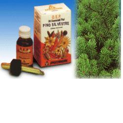 PINO SILVESTRE OLIO ESSENZIALE PURO 10 ML - Doctor Vinz