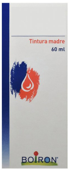 TARAXACUM TINTURA MADRE 60 ML - Doctor Vinz