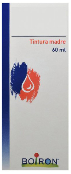 THUYA OCCIDENTALIS TINTURA MADRE 60 ML - Doctor Vinz