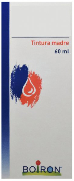 TILIA TOMENTOSA TINTURA MADRE 60 ML - Doctor Vinz