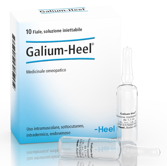 HEEL GALIUM 10 FIALE DA 1,1 ML L'UNA - Doctor Vinz
