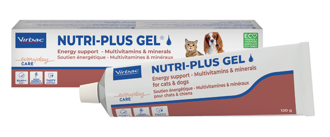 NUTRIPLUS GEL PASTA ORALE 120 G - Doctor Vinz