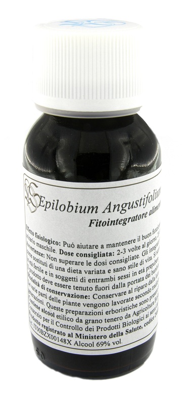 LVS 82C EPILOBIUM ANGUSTIFOLIUM COMPOSITUM - Doctor Vinz