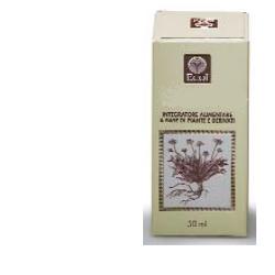 MIRTILLO ESTRATTO ANALCOLICO 50 ML - Doctor Vinz