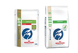 VETERINARY DIET FELINE DRY URINARY S/O 1,5 KG - Doctor Vinz