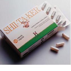 SHIITAKER HOLISTICA 100 CAPSULE - Doctor Vinz