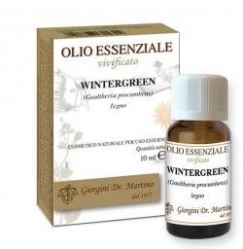 WINTERGREEN OE 10ML - Doctor Vinz