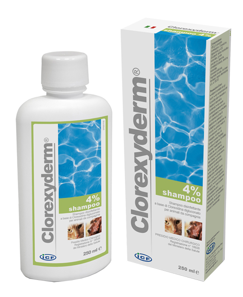 CLOREXYDERM SH 4% 250ML - Doctor Vinz